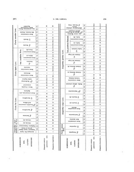 Palaeontographia Italica raccolta di monografie paleontologiche fondata da Mario Canavari nell'anno 1895