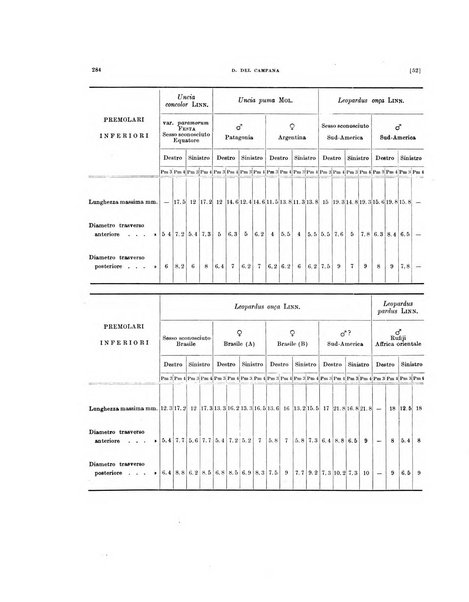 Palaeontographia Italica raccolta di monografie paleontologiche fondata da Mario Canavari nell'anno 1895