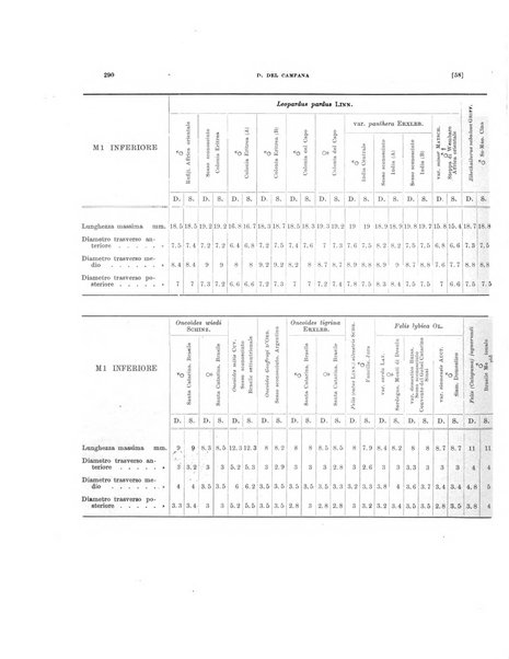 Palaeontographia Italica raccolta di monografie paleontologiche fondata da Mario Canavari nell'anno 1895