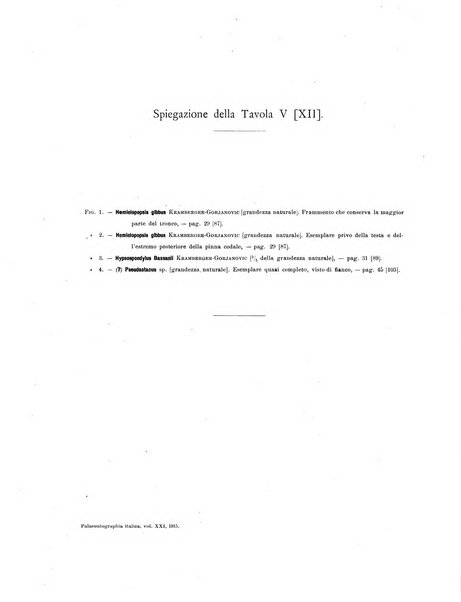 Palaeontographia Italica raccolta di monografie paleontologiche fondata da Mario Canavari nell'anno 1895