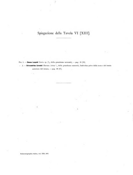 Palaeontographia Italica raccolta di monografie paleontologiche fondata da Mario Canavari nell'anno 1895