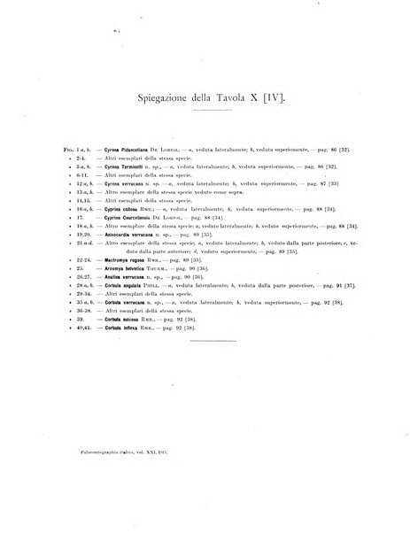 Palaeontographia Italica raccolta di monografie paleontologiche fondata da Mario Canavari nell'anno 1895