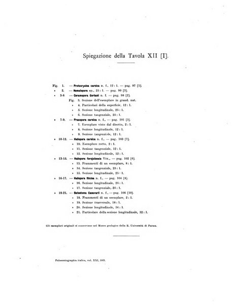 Palaeontographia Italica raccolta di monografie paleontologiche fondata da Mario Canavari nell'anno 1895