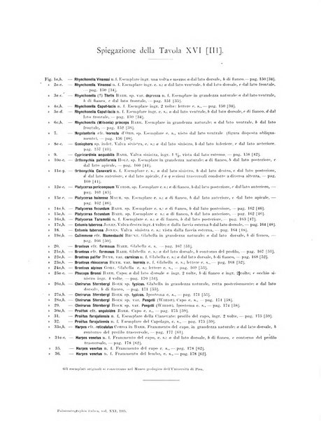 Palaeontographia Italica raccolta di monografie paleontologiche fondata da Mario Canavari nell'anno 1895