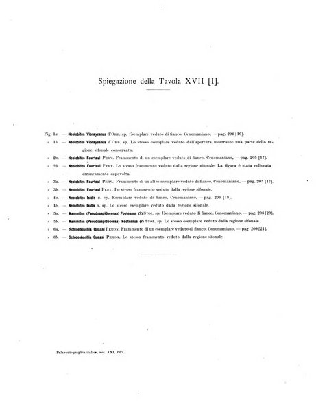 Palaeontographia Italica raccolta di monografie paleontologiche fondata da Mario Canavari nell'anno 1895