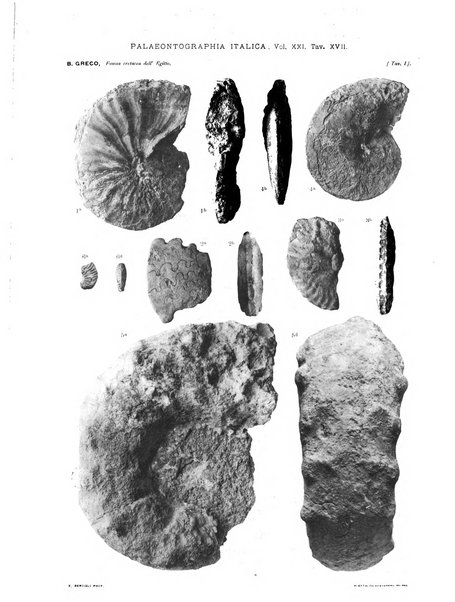 Palaeontographia Italica raccolta di monografie paleontologiche fondata da Mario Canavari nell'anno 1895