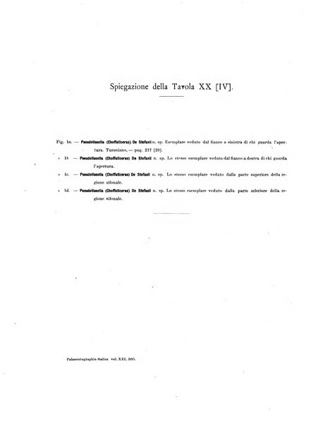 Palaeontographia Italica raccolta di monografie paleontologiche fondata da Mario Canavari nell'anno 1895