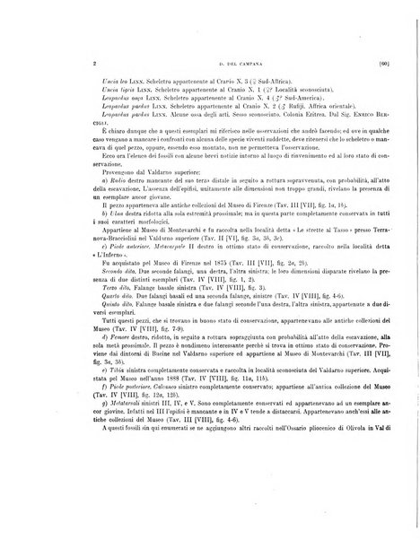 Palaeontographia Italica raccolta di monografie paleontologiche fondata da Mario Canavari nell'anno 1895