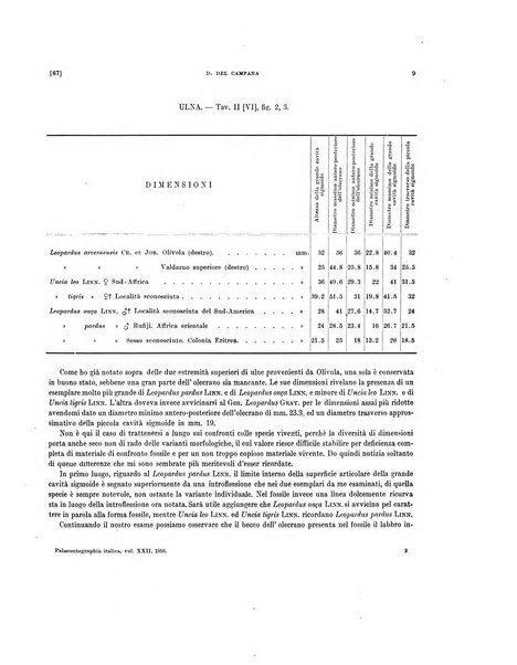 Palaeontographia Italica raccolta di monografie paleontologiche fondata da Mario Canavari nell'anno 1895