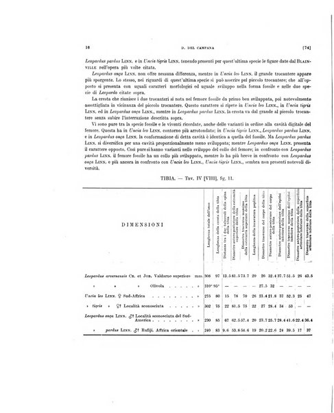 Palaeontographia Italica raccolta di monografie paleontologiche fondata da Mario Canavari nell'anno 1895