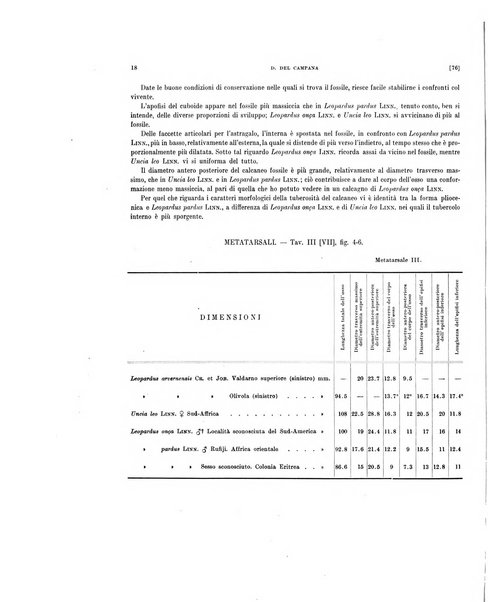 Palaeontographia Italica raccolta di monografie paleontologiche fondata da Mario Canavari nell'anno 1895