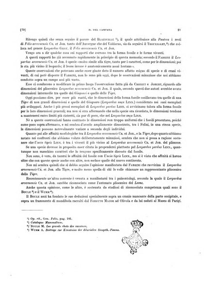 Palaeontographia Italica raccolta di monografie paleontologiche fondata da Mario Canavari nell'anno 1895