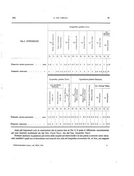 Palaeontographia Italica raccolta di monografie paleontologiche fondata da Mario Canavari nell'anno 1895