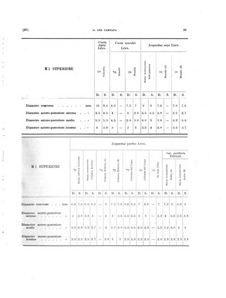 Palaeontographia Italica raccolta di monografie paleontologiche fondata da Mario Canavari nell'anno 1895