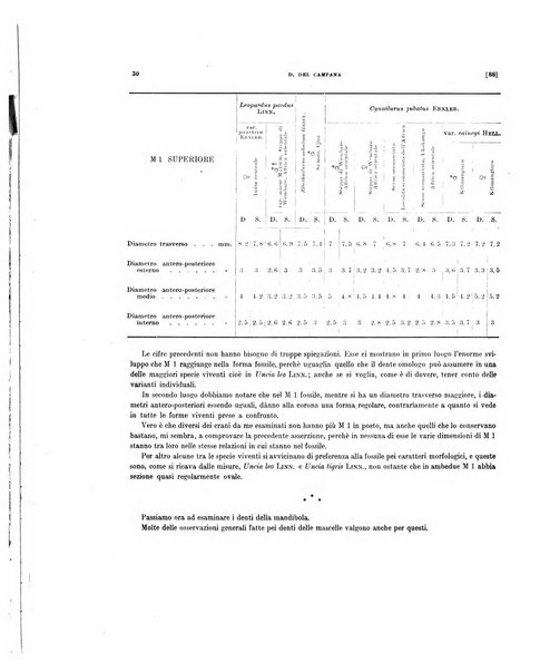 Palaeontographia Italica raccolta di monografie paleontologiche fondata da Mario Canavari nell'anno 1895