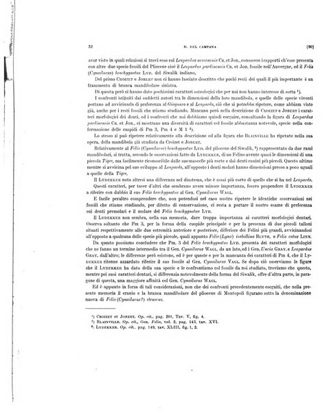 Palaeontographia Italica raccolta di monografie paleontologiche fondata da Mario Canavari nell'anno 1895