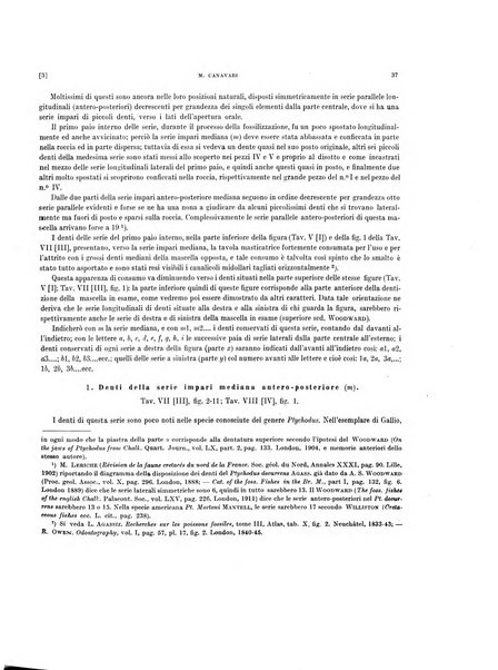 Palaeontographia Italica raccolta di monografie paleontologiche fondata da Mario Canavari nell'anno 1895