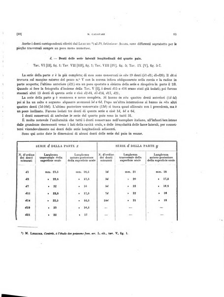 Palaeontographia Italica raccolta di monografie paleontologiche fondata da Mario Canavari nell'anno 1895