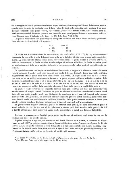 Palaeontographia Italica raccolta di monografie paleontologiche fondata da Mario Canavari nell'anno 1895