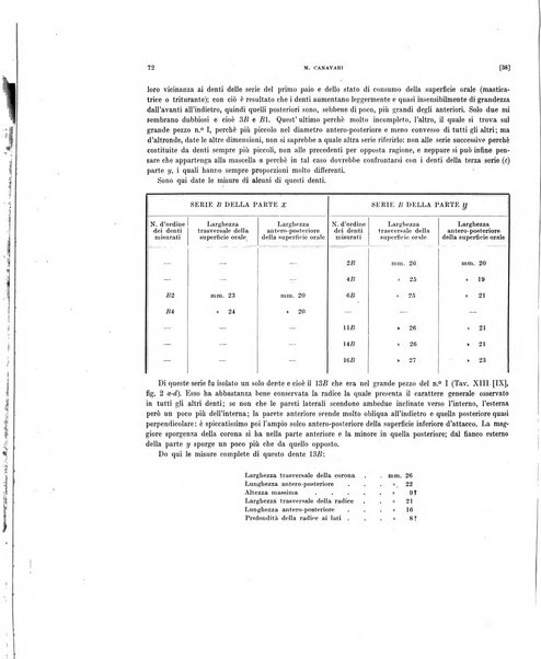 Palaeontographia Italica raccolta di monografie paleontologiche fondata da Mario Canavari nell'anno 1895