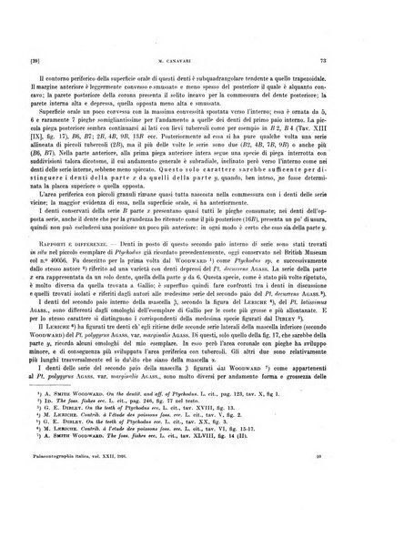 Palaeontographia Italica raccolta di monografie paleontologiche fondata da Mario Canavari nell'anno 1895