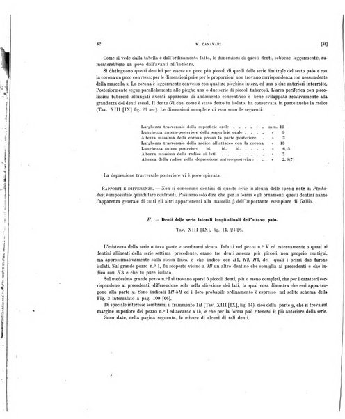 Palaeontographia Italica raccolta di monografie paleontologiche fondata da Mario Canavari nell'anno 1895