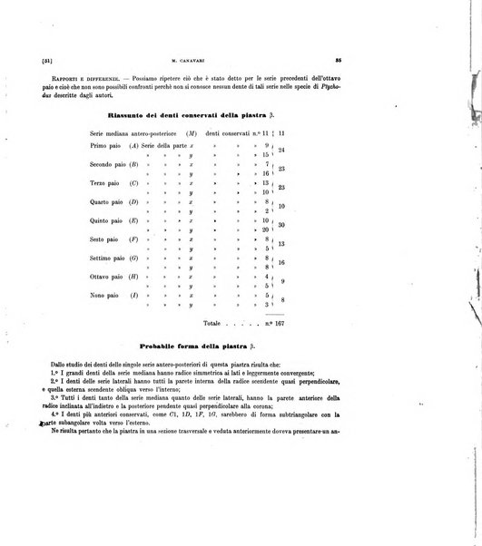 Palaeontographia Italica raccolta di monografie paleontologiche fondata da Mario Canavari nell'anno 1895