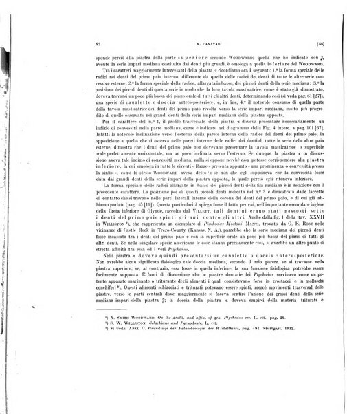 Palaeontographia Italica raccolta di monografie paleontologiche fondata da Mario Canavari nell'anno 1895