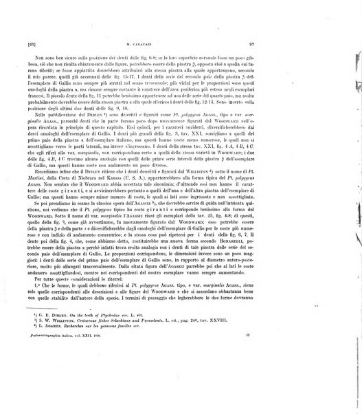 Palaeontographia Italica raccolta di monografie paleontologiche fondata da Mario Canavari nell'anno 1895