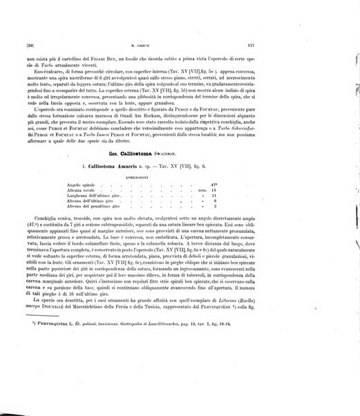 Palaeontographia Italica raccolta di monografie paleontologiche fondata da Mario Canavari nell'anno 1895