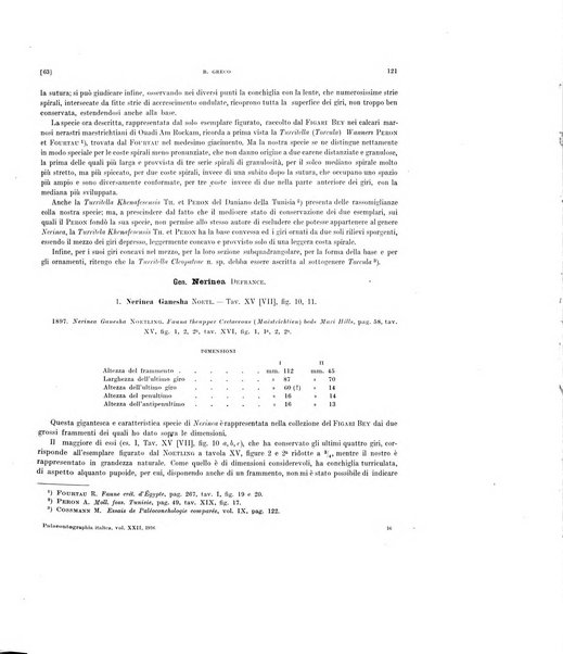 Palaeontographia Italica raccolta di monografie paleontologiche fondata da Mario Canavari nell'anno 1895