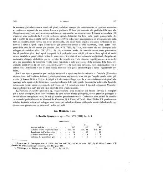 Palaeontographia Italica raccolta di monografie paleontologiche fondata da Mario Canavari nell'anno 1895