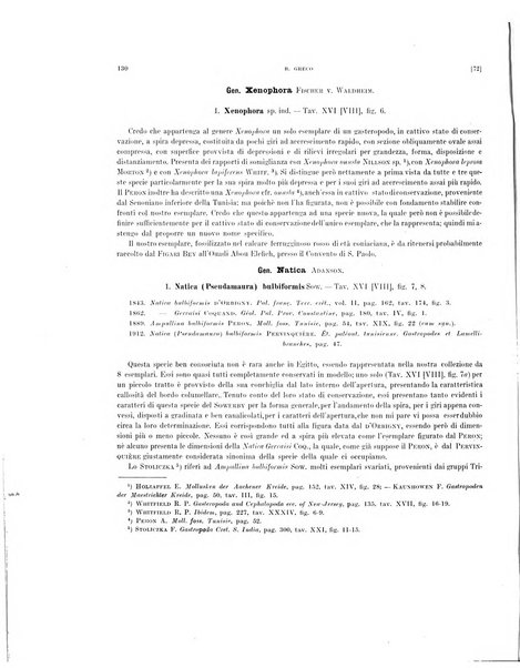 Palaeontographia Italica raccolta di monografie paleontologiche fondata da Mario Canavari nell'anno 1895