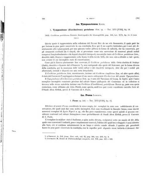 Palaeontographia Italica raccolta di monografie paleontologiche fondata da Mario Canavari nell'anno 1895