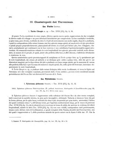 Palaeontographia Italica raccolta di monografie paleontologiche fondata da Mario Canavari nell'anno 1895