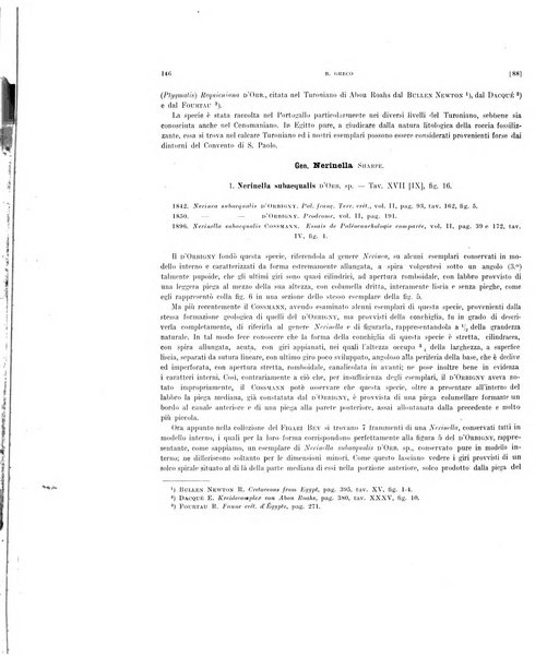 Palaeontographia Italica raccolta di monografie paleontologiche fondata da Mario Canavari nell'anno 1895