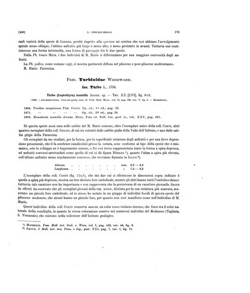 Palaeontographia Italica raccolta di monografie paleontologiche fondata da Mario Canavari nell'anno 1895