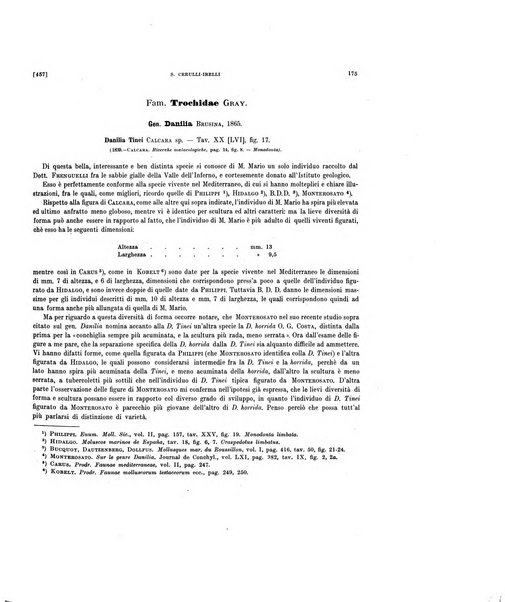 Palaeontographia Italica raccolta di monografie paleontologiche fondata da Mario Canavari nell'anno 1895