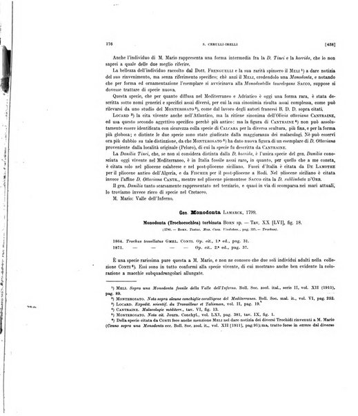 Palaeontographia Italica raccolta di monografie paleontologiche fondata da Mario Canavari nell'anno 1895