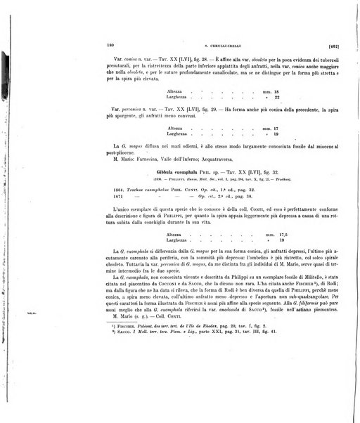 Palaeontographia Italica raccolta di monografie paleontologiche fondata da Mario Canavari nell'anno 1895