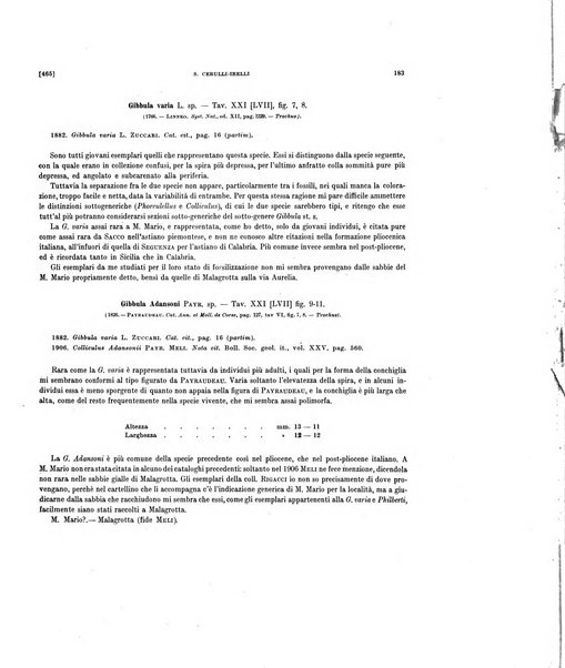 Palaeontographia Italica raccolta di monografie paleontologiche fondata da Mario Canavari nell'anno 1895