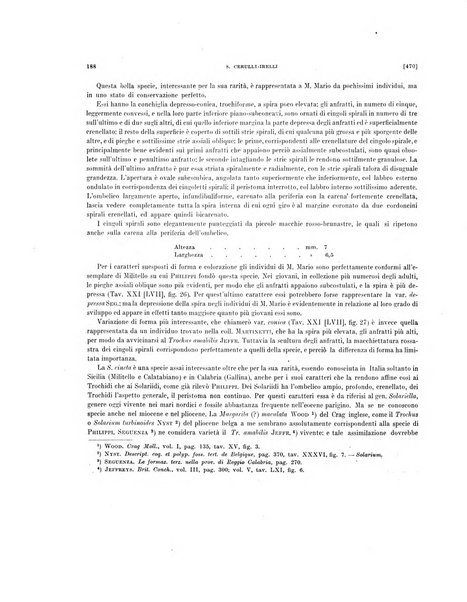 Palaeontographia Italica raccolta di monografie paleontologiche fondata da Mario Canavari nell'anno 1895