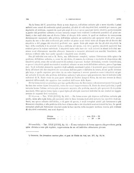 Palaeontographia Italica raccolta di monografie paleontologiche fondata da Mario Canavari nell'anno 1895