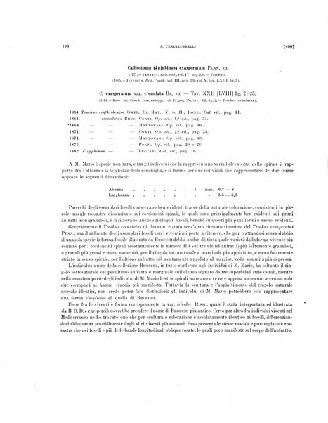 Palaeontographia Italica raccolta di monografie paleontologiche fondata da Mario Canavari nell'anno 1895