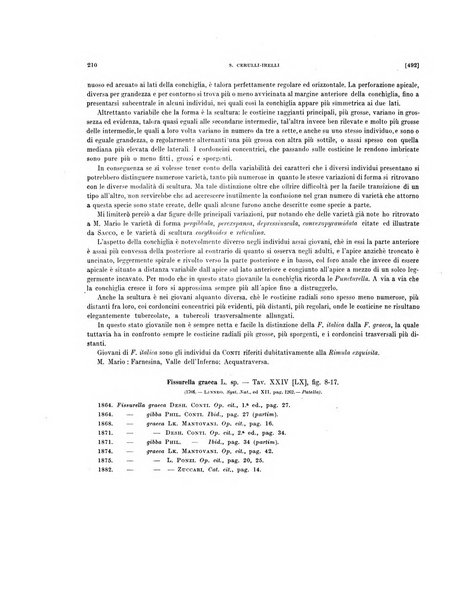 Palaeontographia Italica raccolta di monografie paleontologiche fondata da Mario Canavari nell'anno 1895