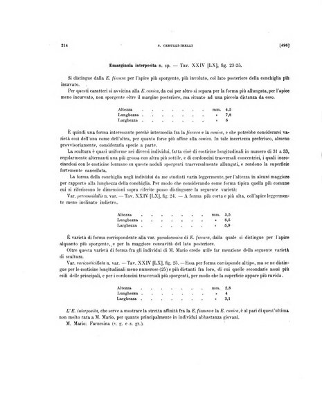 Palaeontographia Italica raccolta di monografie paleontologiche fondata da Mario Canavari nell'anno 1895