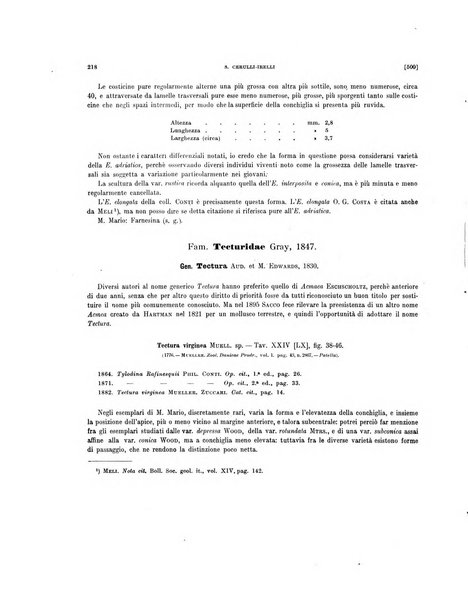 Palaeontographia Italica raccolta di monografie paleontologiche fondata da Mario Canavari nell'anno 1895