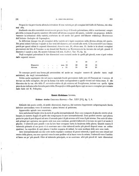 Palaeontographia Italica raccolta di monografie paleontologiche fondata da Mario Canavari nell'anno 1895