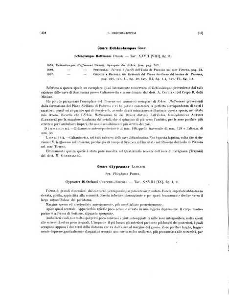 Palaeontographia Italica raccolta di monografie paleontologiche fondata da Mario Canavari nell'anno 1895