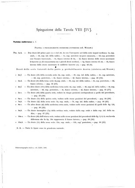 Palaeontographia Italica raccolta di monografie paleontologiche fondata da Mario Canavari nell'anno 1895